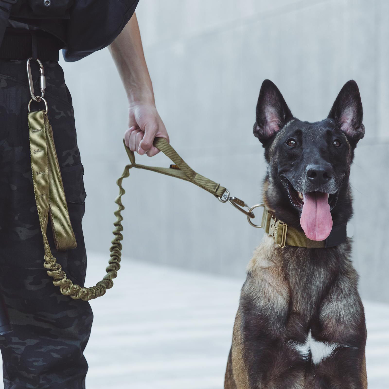 &Ccedil;alışan k&ouml;peğimin ekipmanına g&uuml;venmeli miyim?