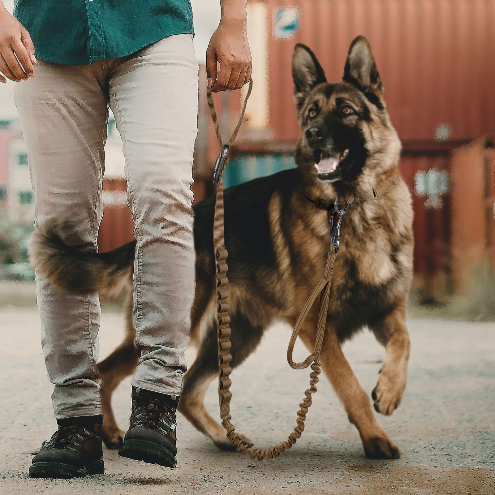 Tactipup'ın askeri te&ccedil;hizat koleksiyonu nedir?