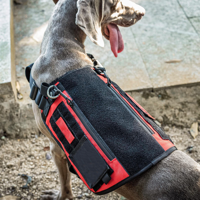 Gilet tattico per cani da servizio