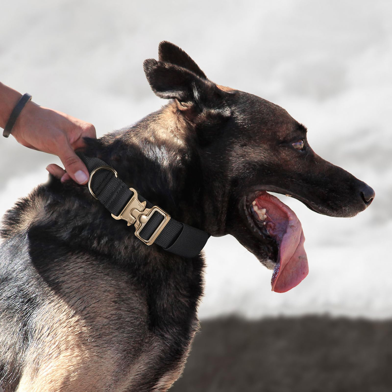 Wie is K9 tactische uitrusting?
